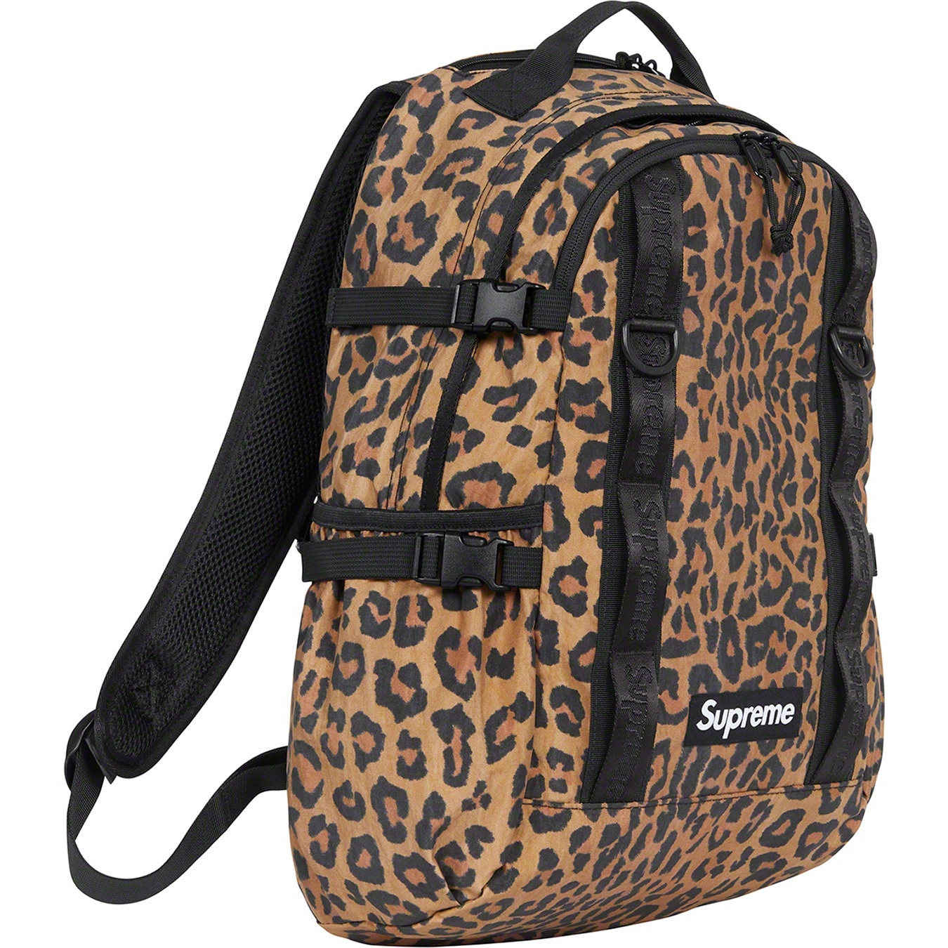 Backpack view 17