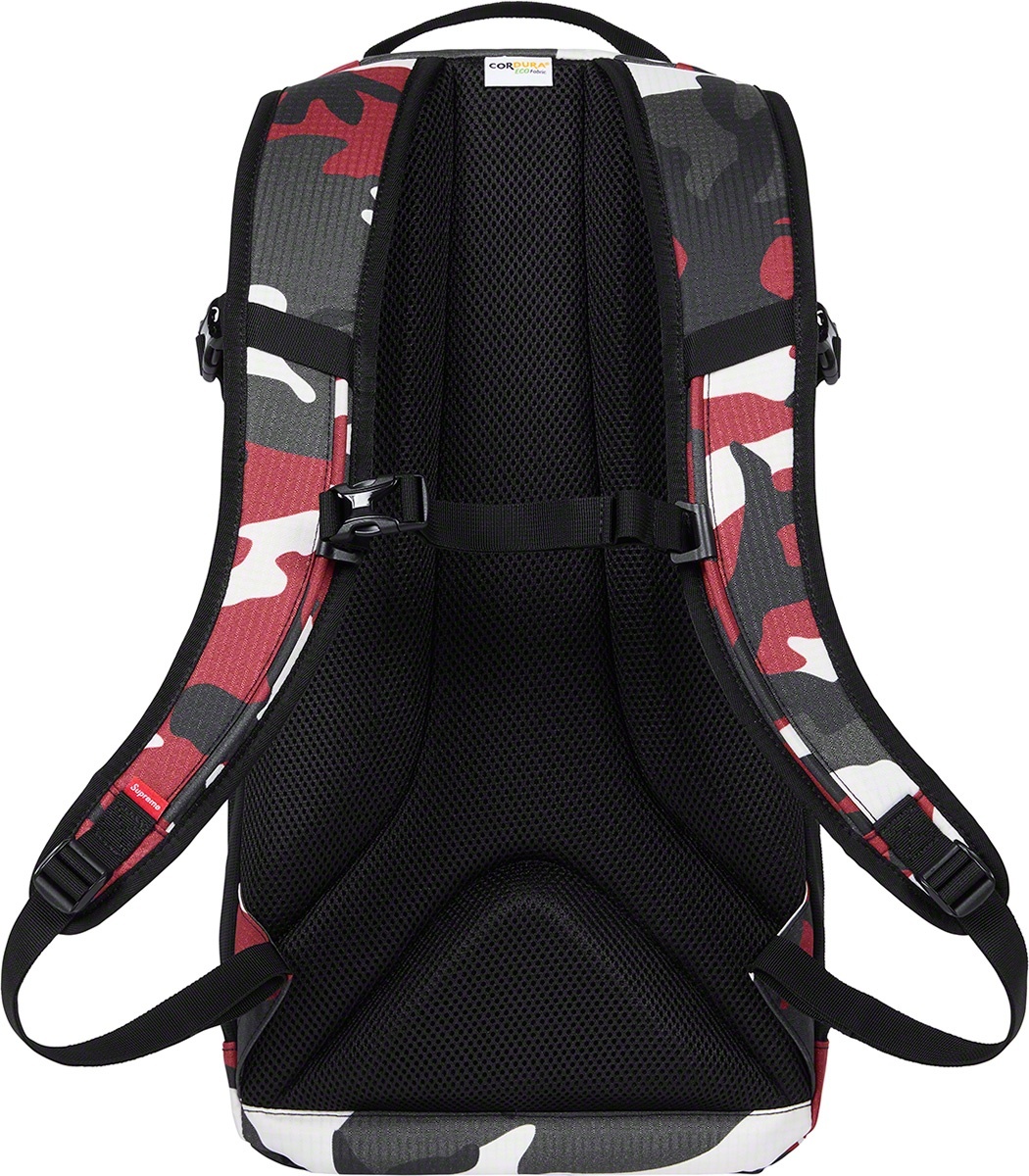 Backpack view 19